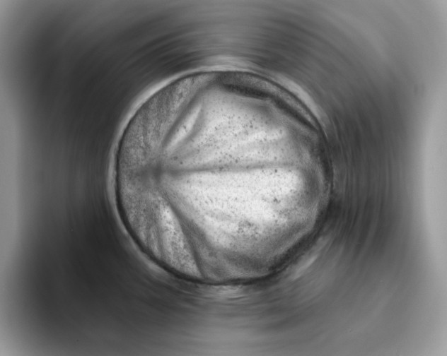 X0000093211387200710171333