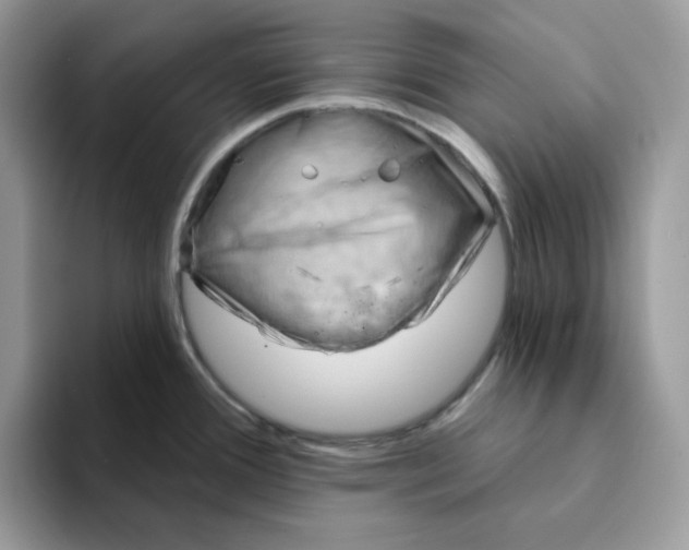 X0000093211388200710171333