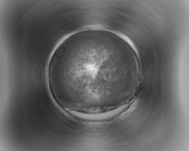 X0000093211389200710171333