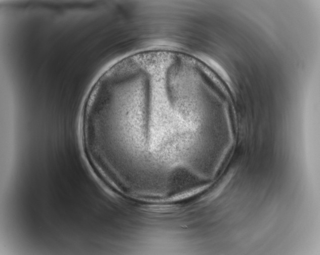 X0000093211391200710171333