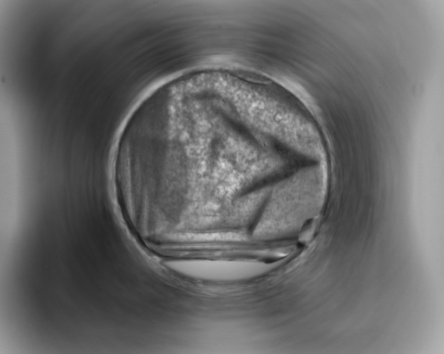 X0000093211392200710171333