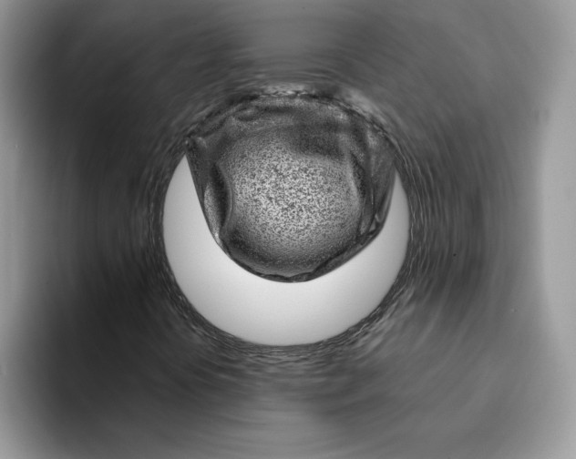 X0000093211394200710171332