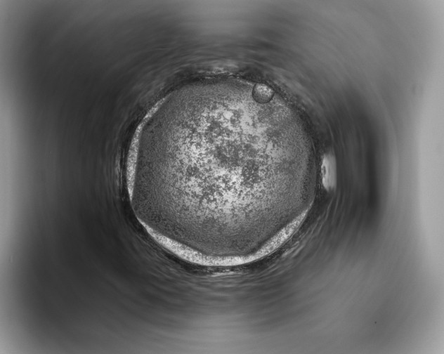 X0000093211395200710171333