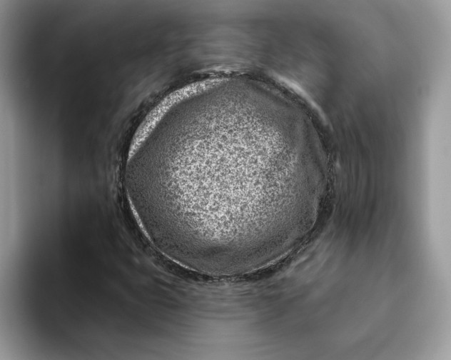 X0000093211399200710171333