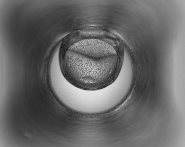 X0000093211402200710171333