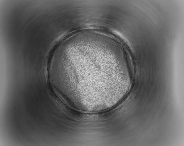 X0000093211403200710171333