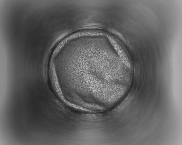 X0000093211405200710171333