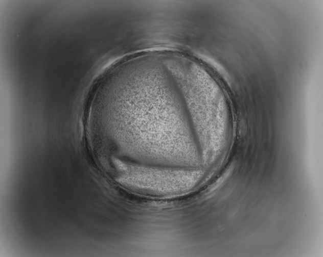 X0000093211407200710171333