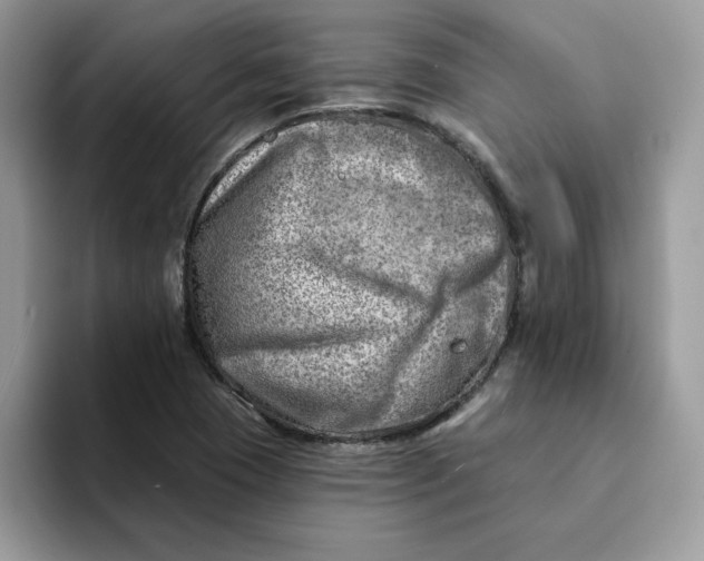 X0000093211409200710171333