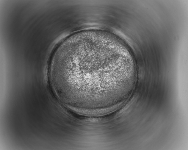 X0000093211411200710171333