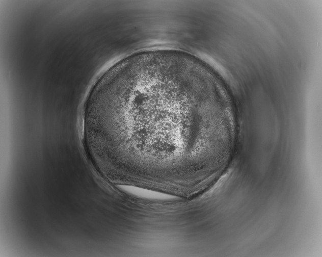 X0000093211413200710171333