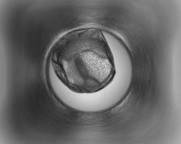 X0000093211414200710171333