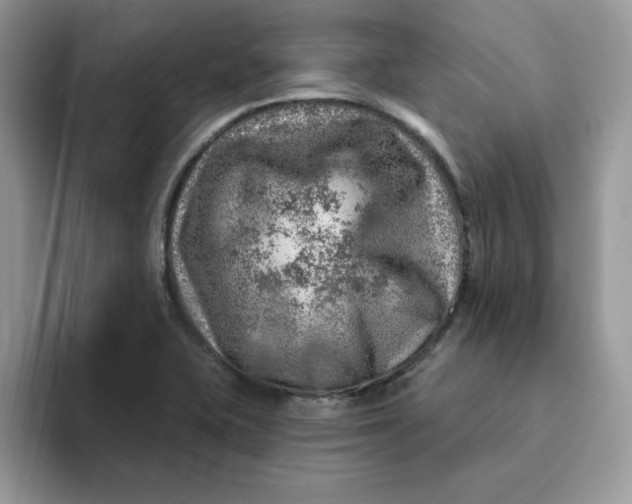 X0000093211415200710171333