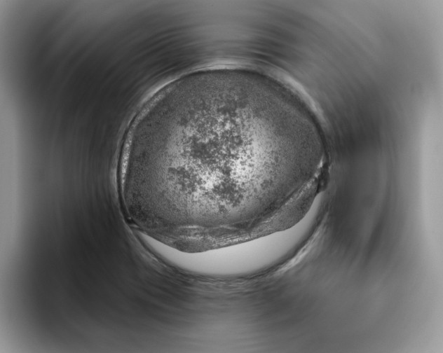 X0000093211417200710171333