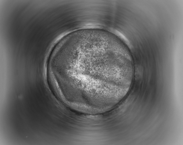 X0000093211419200710171333