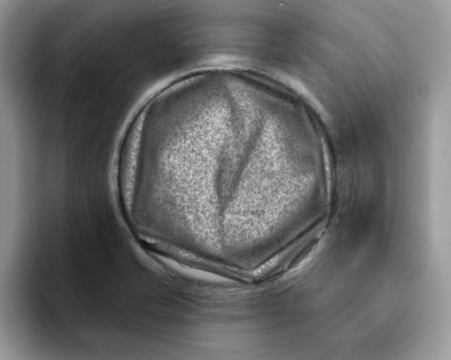 X0000093211421200710171333