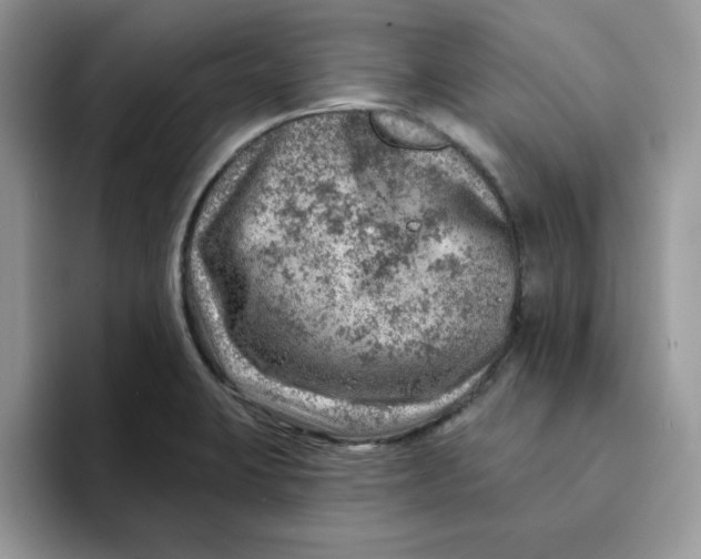 X0000093211423200710171333