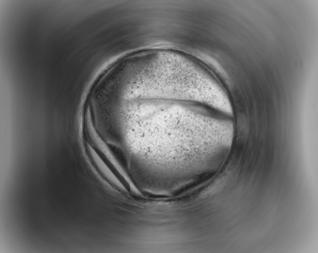 X0000093211424200710171333