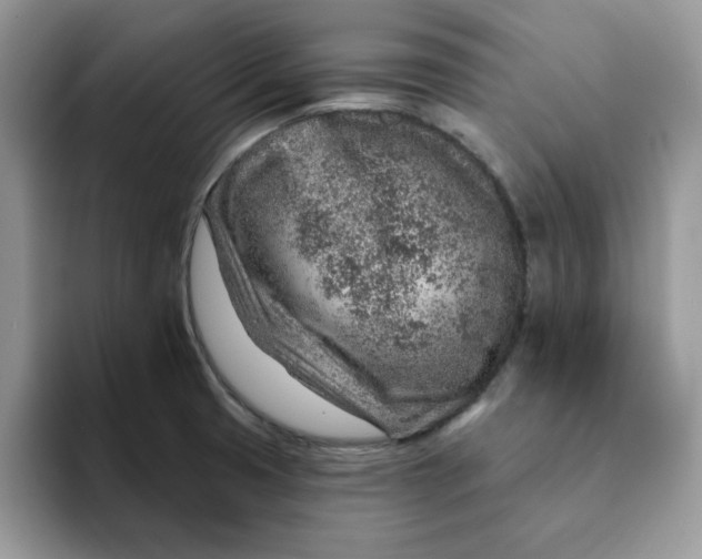 X0000093211425200710171333