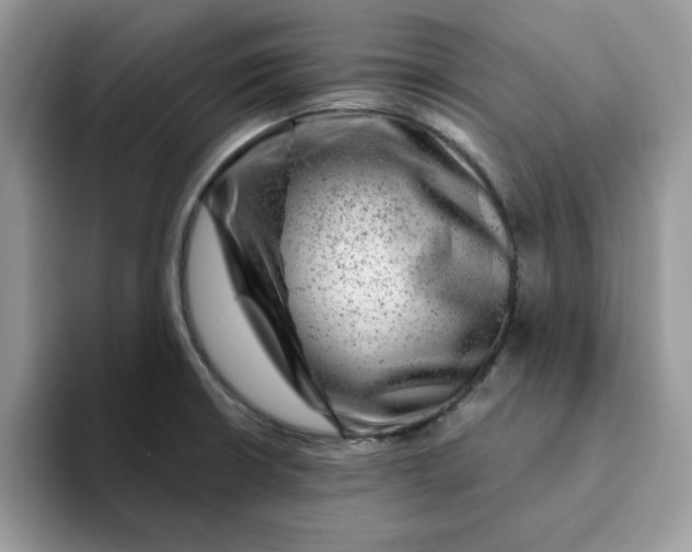 X0000093211426200710171333