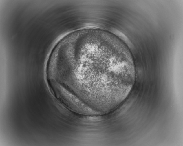 X0000093211427200710171333