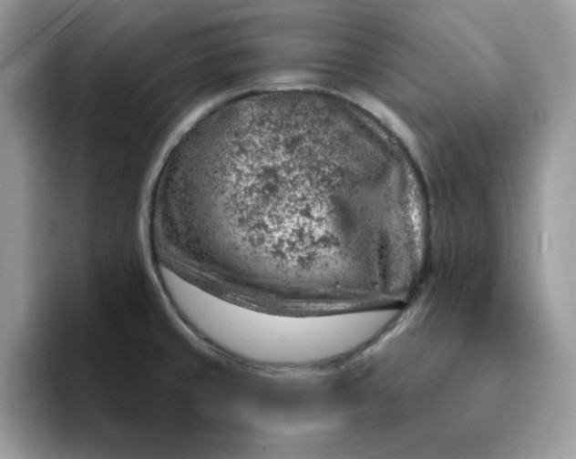 X0000093211429200710171333