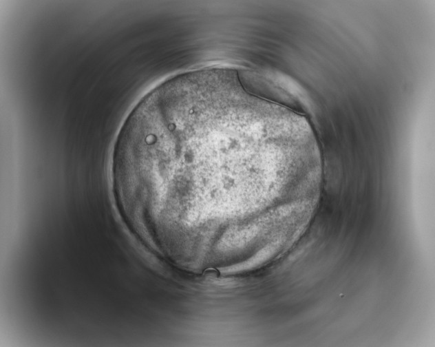 X0000093211431200710171333