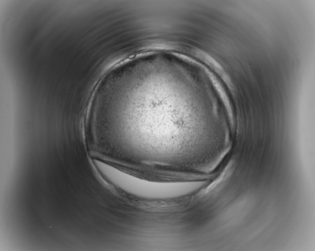 X0000093211433200710171333