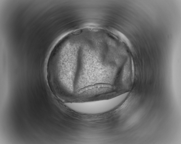 X0000093211435200710171333