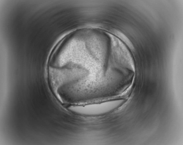 X0000093211436200710171333