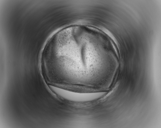 X0000093211437200710171333