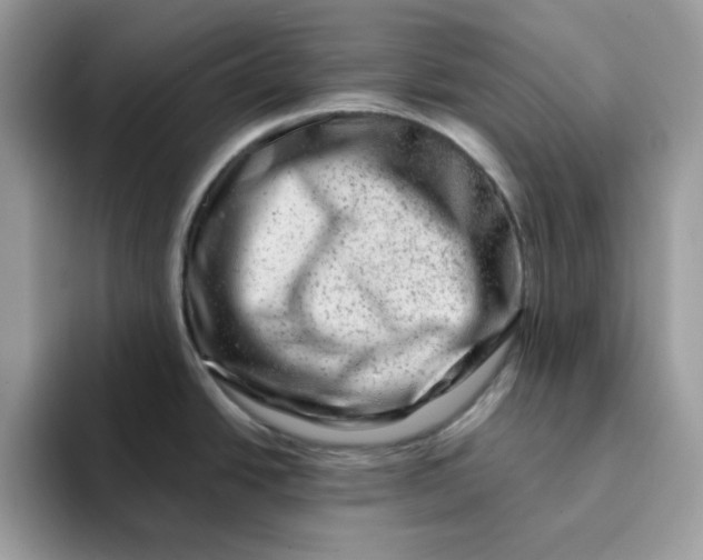 X0000093211438200710171333