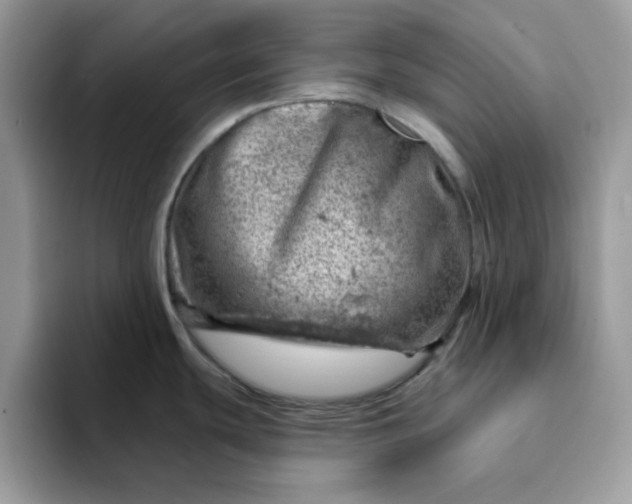 X0000093211439200710171333