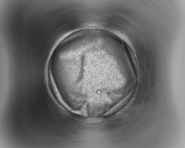 X0000093211440200710171333