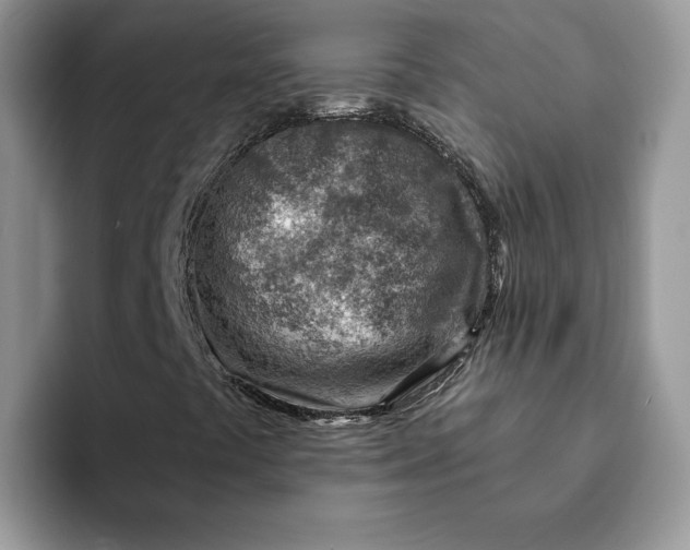 X0000093211441200710171332