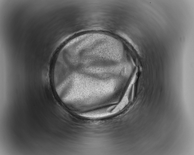 X0000093211452200710171332