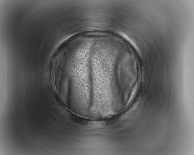 X0000093211453200710171332