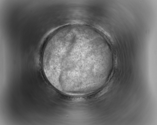 X0000093211454200710171332