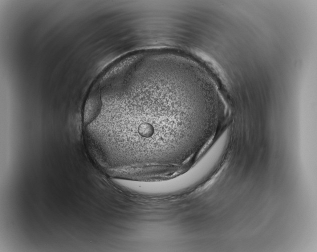 X0000093211457200710171332