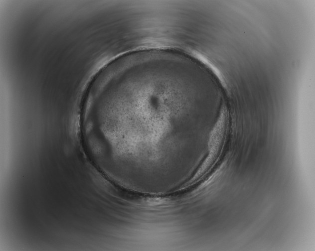 X0000093211459200710171332