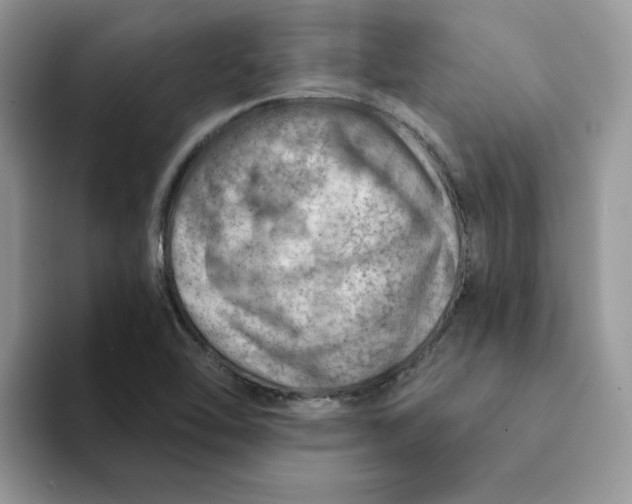 X0000093211462200710171332