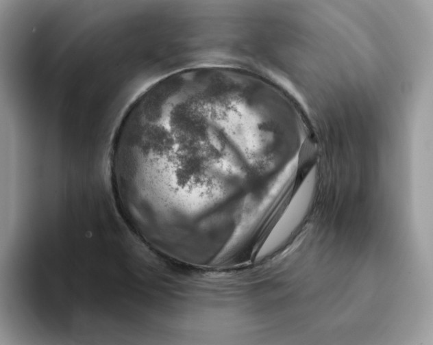 X0000093211463200710171332