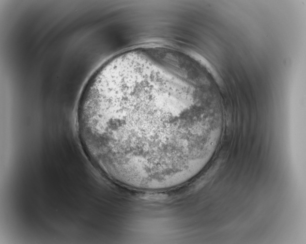 X0000093211466200710171332