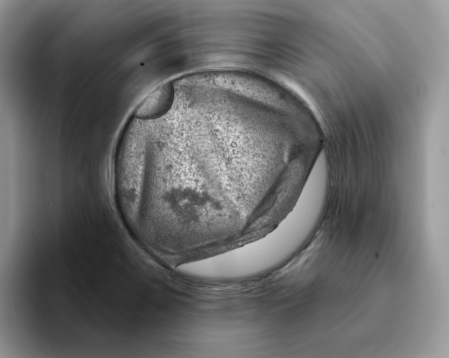 X0000093211467200710171332