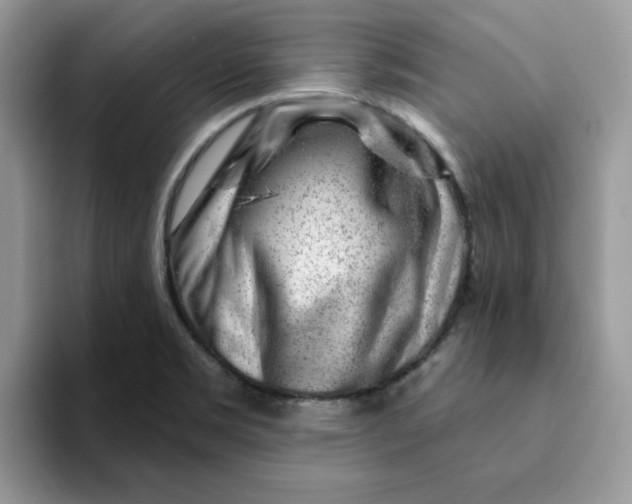 X0000093211469200710171332