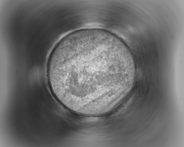 X0000093211470200710171332