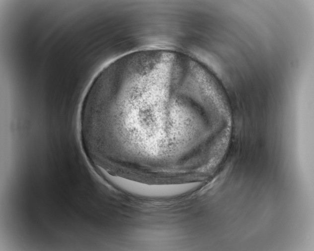 X0000093211471200710171332