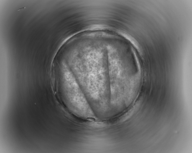 X0000093211473200710171332