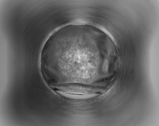 X0000093211477200710171332