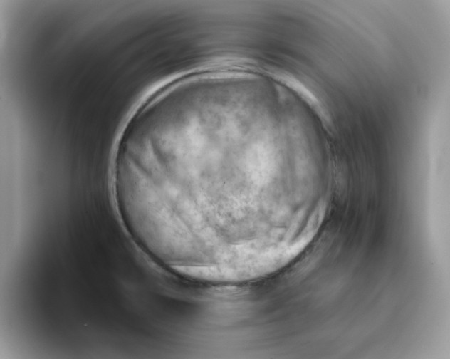 X0000093211478200710171332